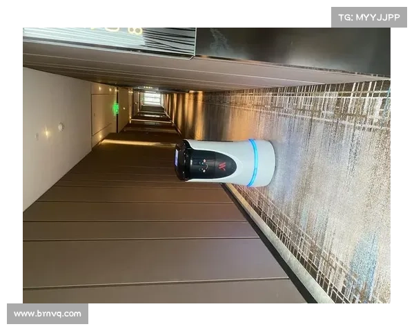 这个小型设备可以感染销售点系统并解锁酒店房间 在线 这个小型设备可以感染销售点系统并解锁酒店房间 在线